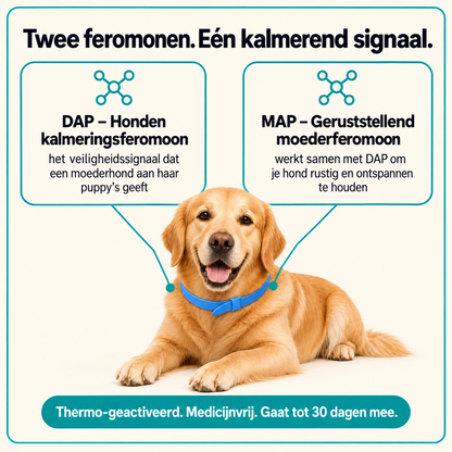CalmiCollar Kalmerende Halsband met Dubbele Feromonen - Medicijnvrije Hulp bij Angst en Stress